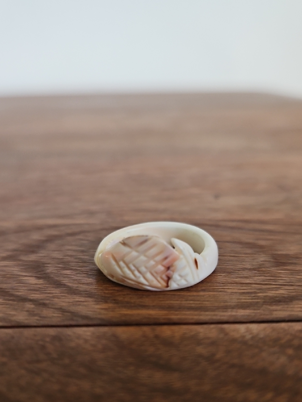 Carved Shell Statement Ring in Cream and Light Brown
